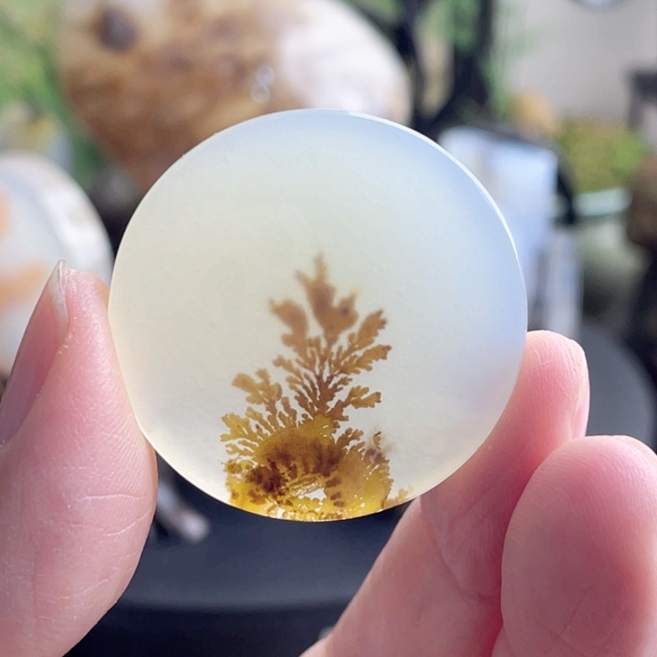 玛瑙/玉髓珠宝半成品未镶嵌