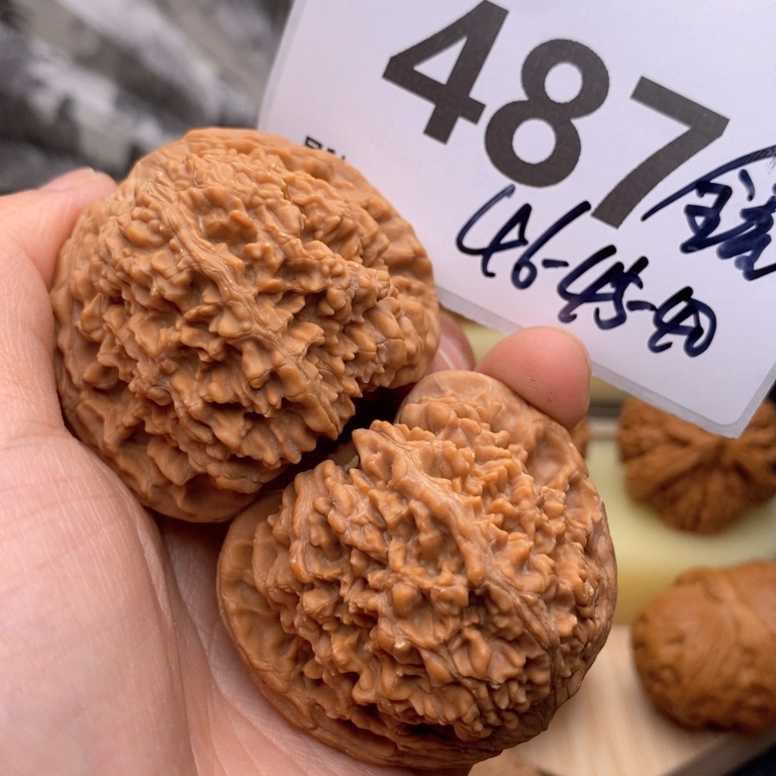 文玩核桃把件487号46全星