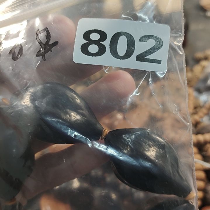 文玩核桃吊坠力****)文玩核桃