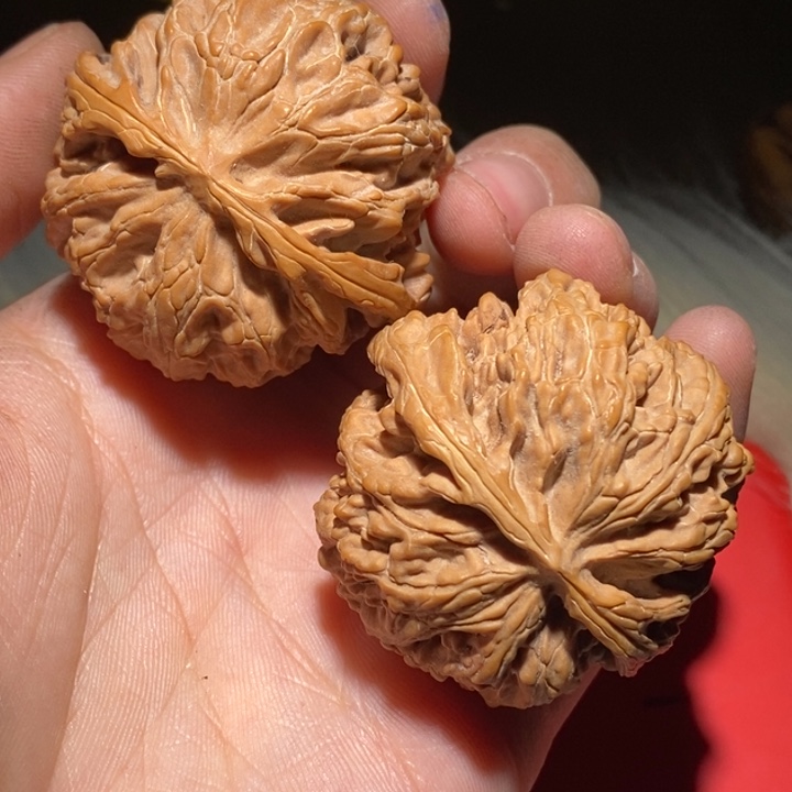 繁***星文玩核桃吊坠精品课程等课程教学