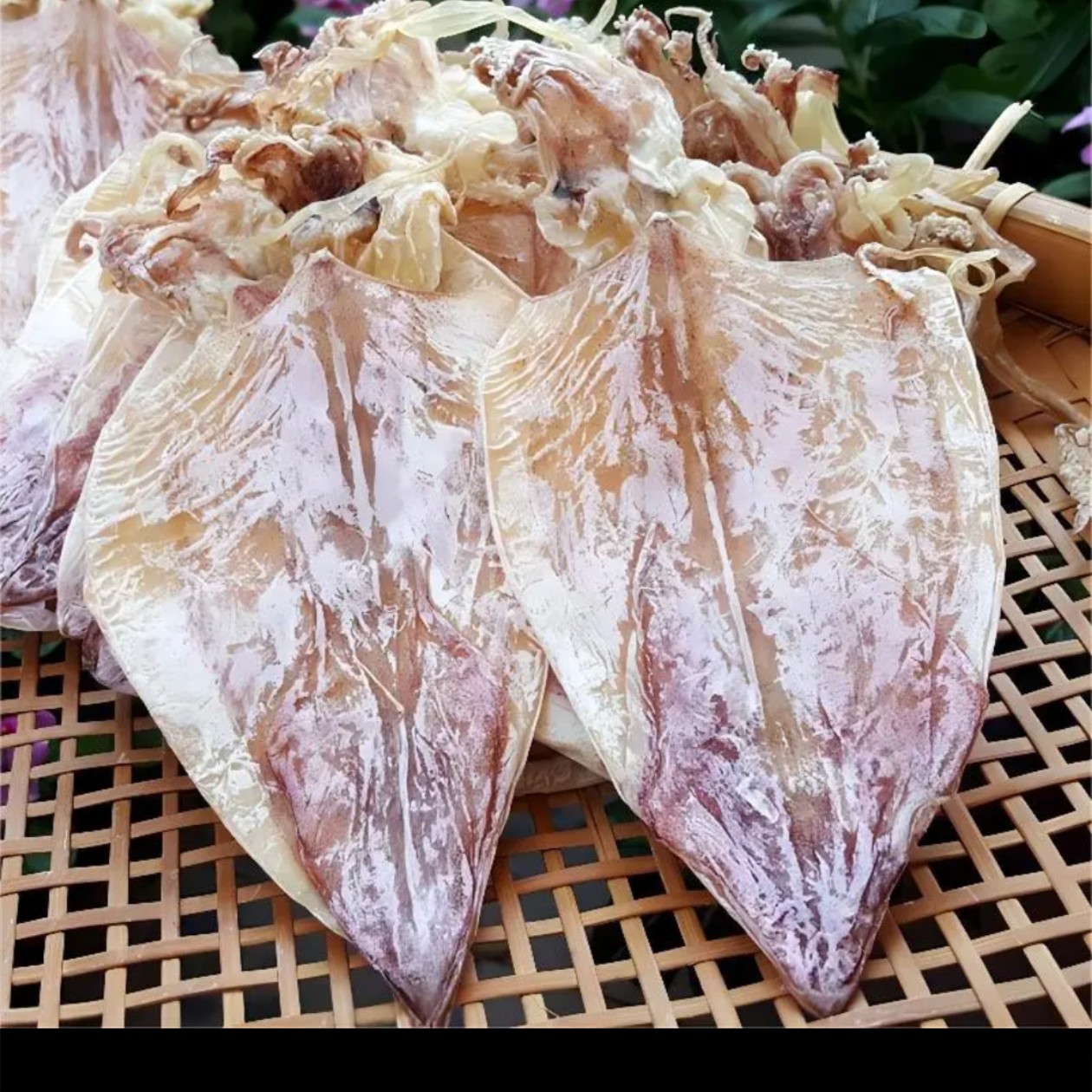 北海特产鱿鱼干货烧烤手撕淡晒淡干碳烤尤鱼干送芥末足称足两新鲜