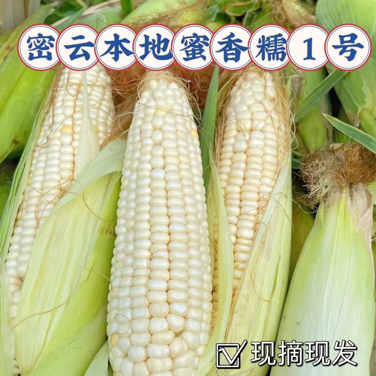 （现掰现发）北京密云鲜玉米（蜜香糯一号），七根大棒北京市