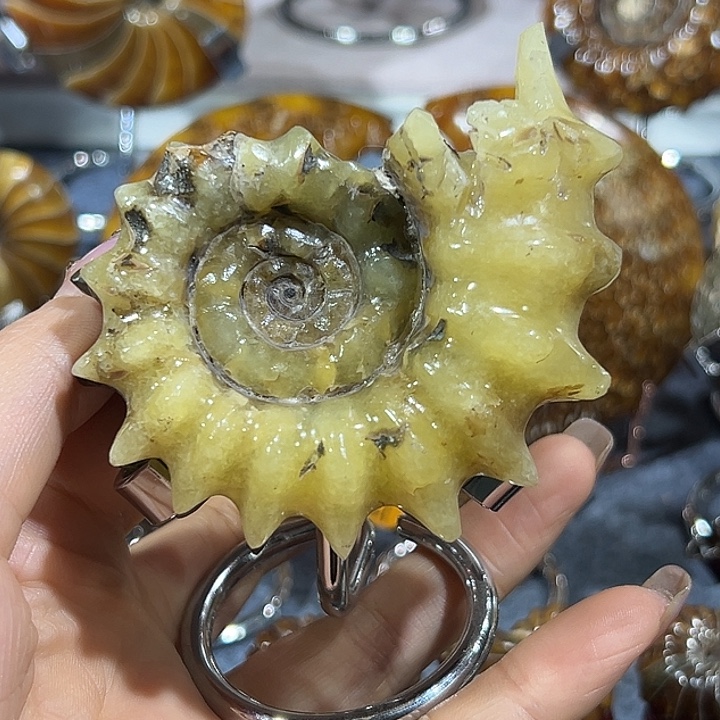 烈***空石材马达加斯加螺螺^_^^_^^_^^_^