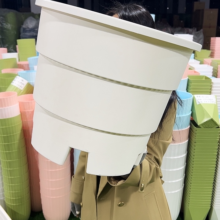 正品蓝莓盆口39高33白色无托3个