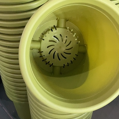 树脂四季7号微瑕果绿无托6个