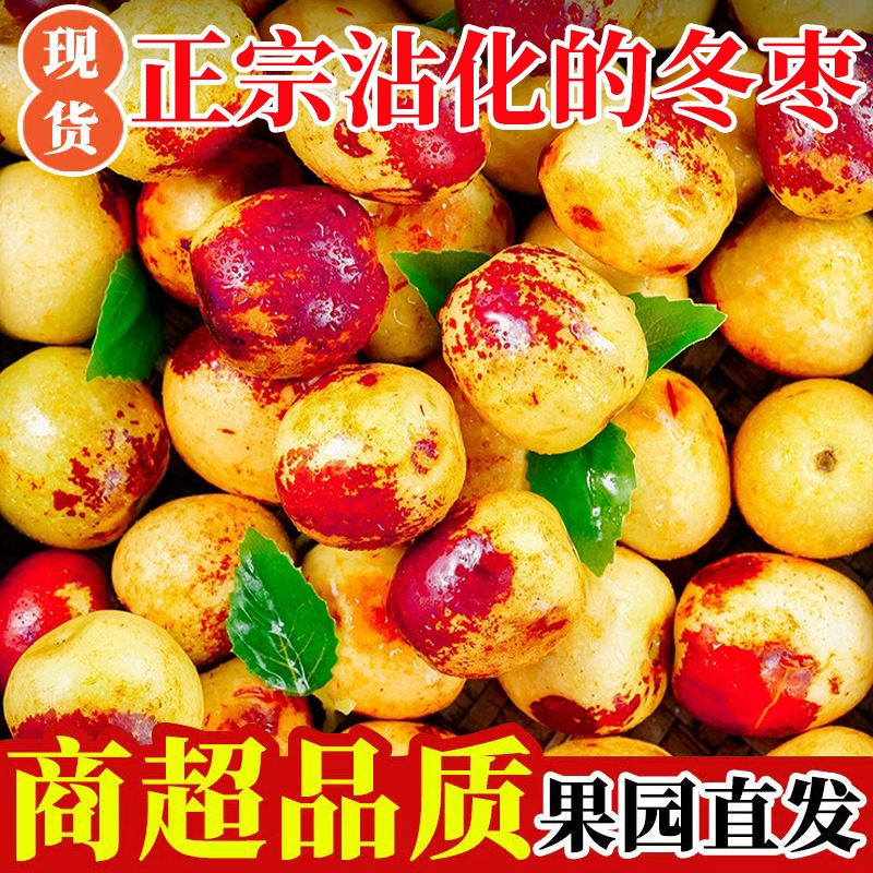 正宗山东沾化冬枣新鲜冰糖脆甜5斤包邮孕妇水果现货当季大枣子