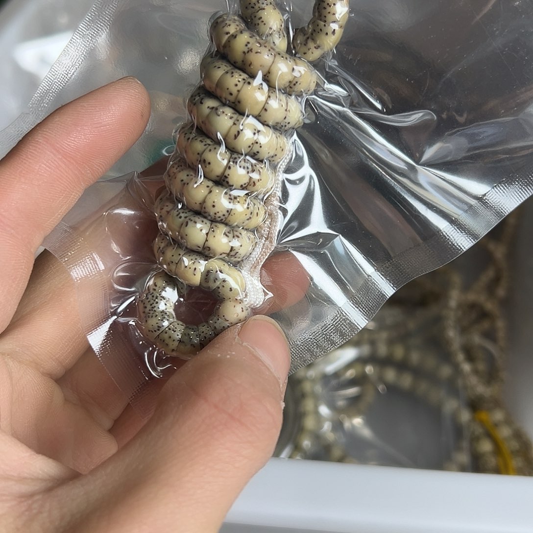 闫***理星月菩提吊坠7的小肠长串微氧化有连星，904