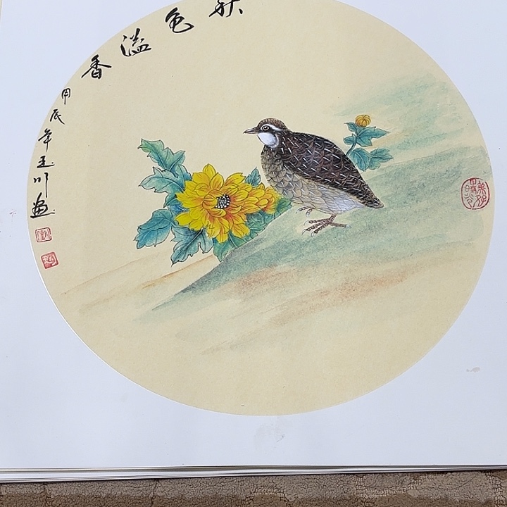 国画花鸟等多种鸟类的栖息50.50