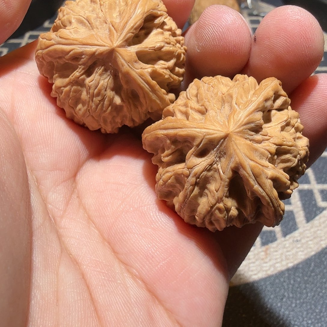 文玩核桃把件安*ㅤ御龙