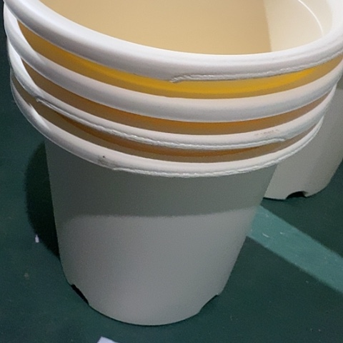 树脂编号编号6008