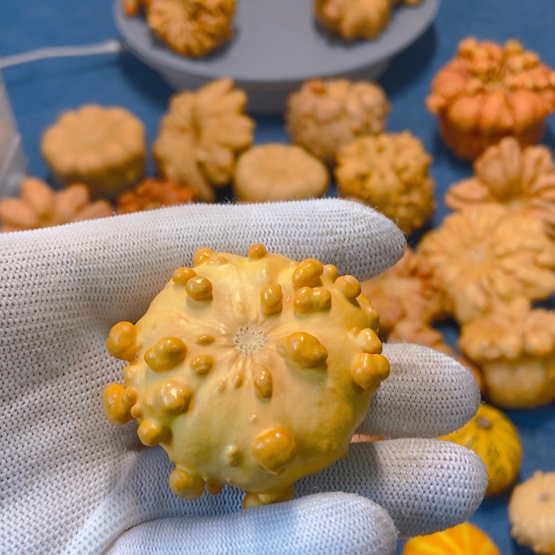 肖***钱葫芦墨西哥七彩疙瘩葫芦