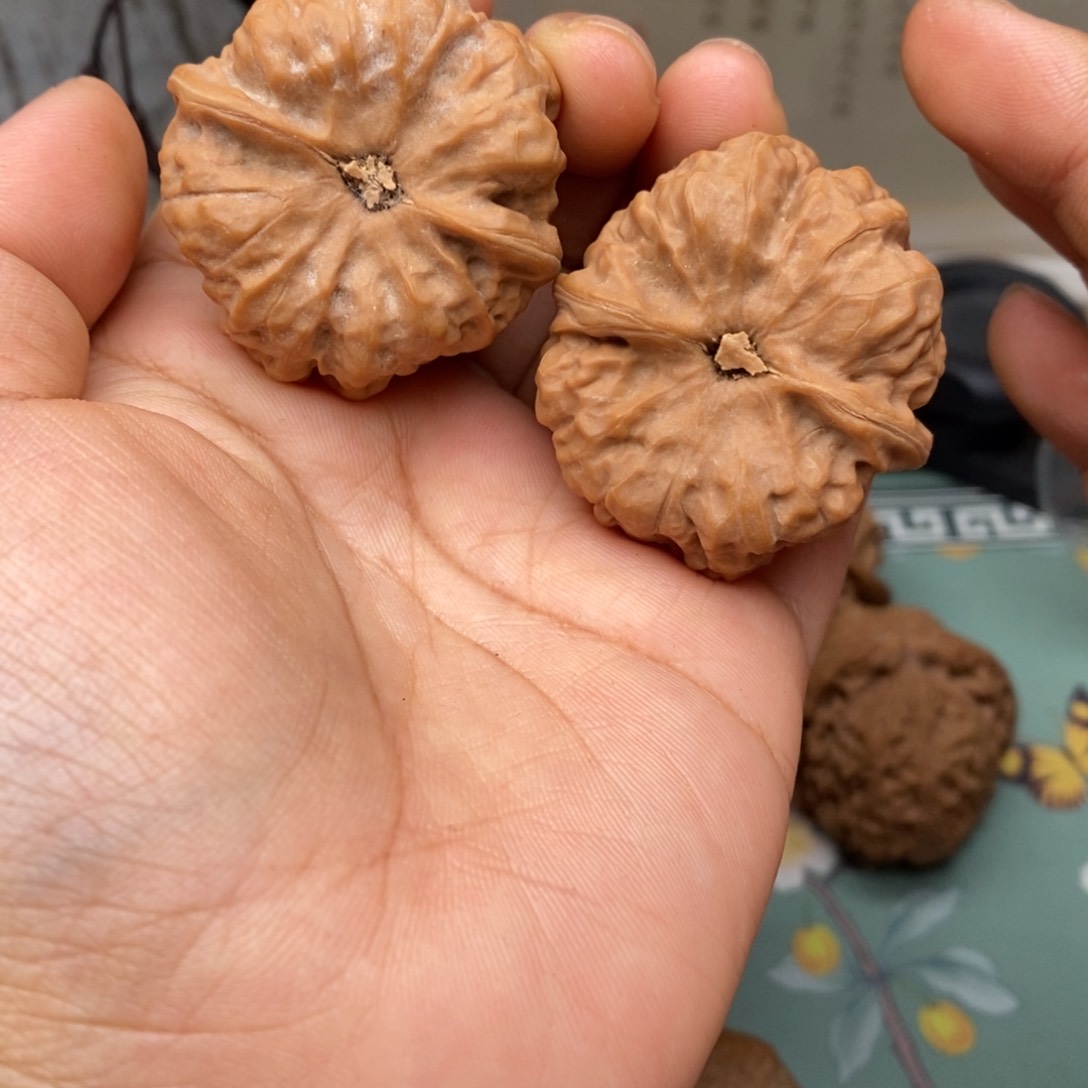 文玩核桃把件38蛤蟆头187