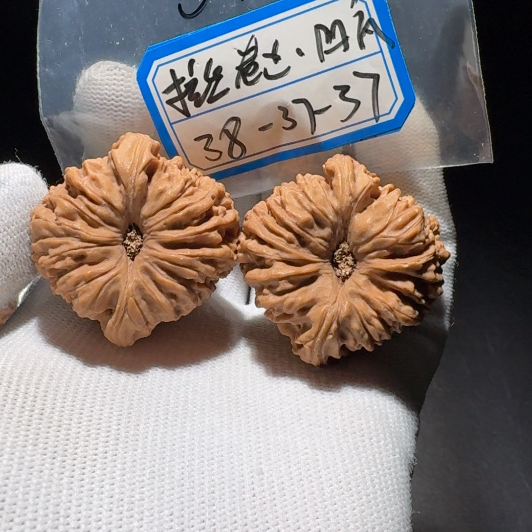 文玩核桃把件23号南疆