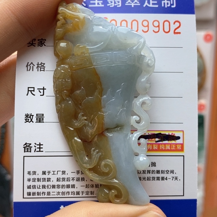 翡翠颈饰未镶嵌每天