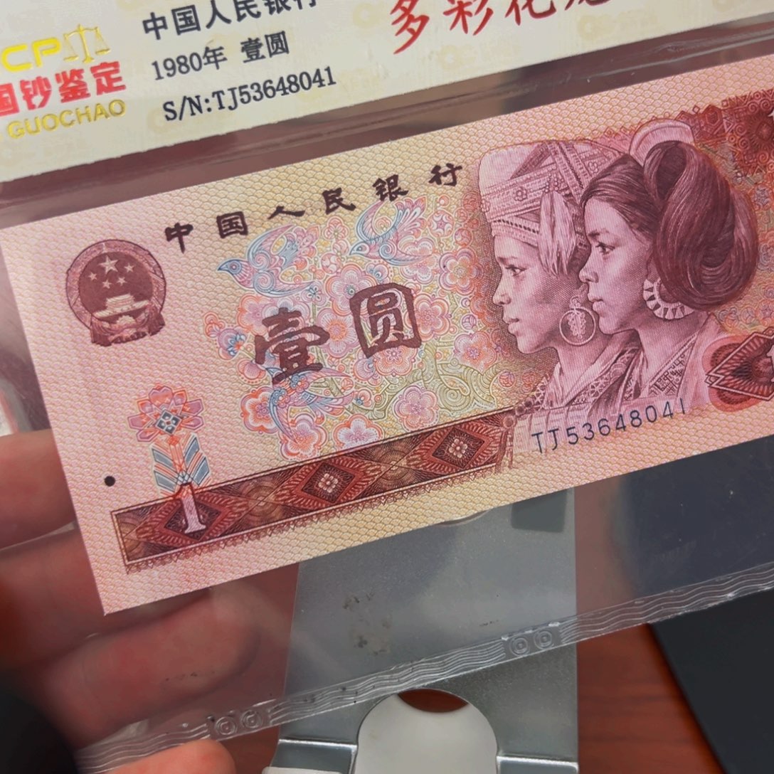 多彩花帝龙一张一张一张