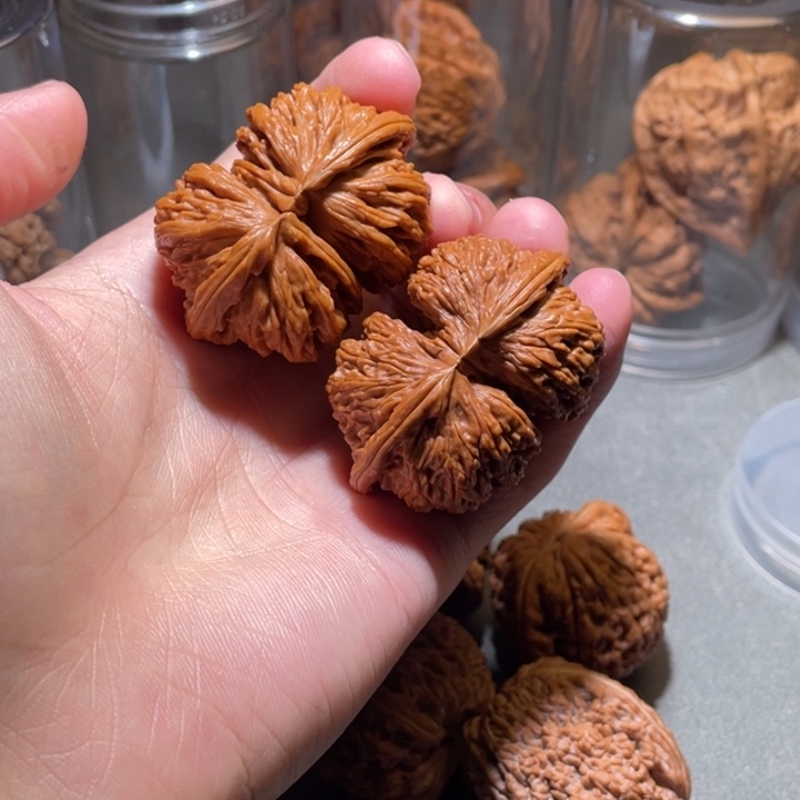 文玩核桃吊坠白狮子连体