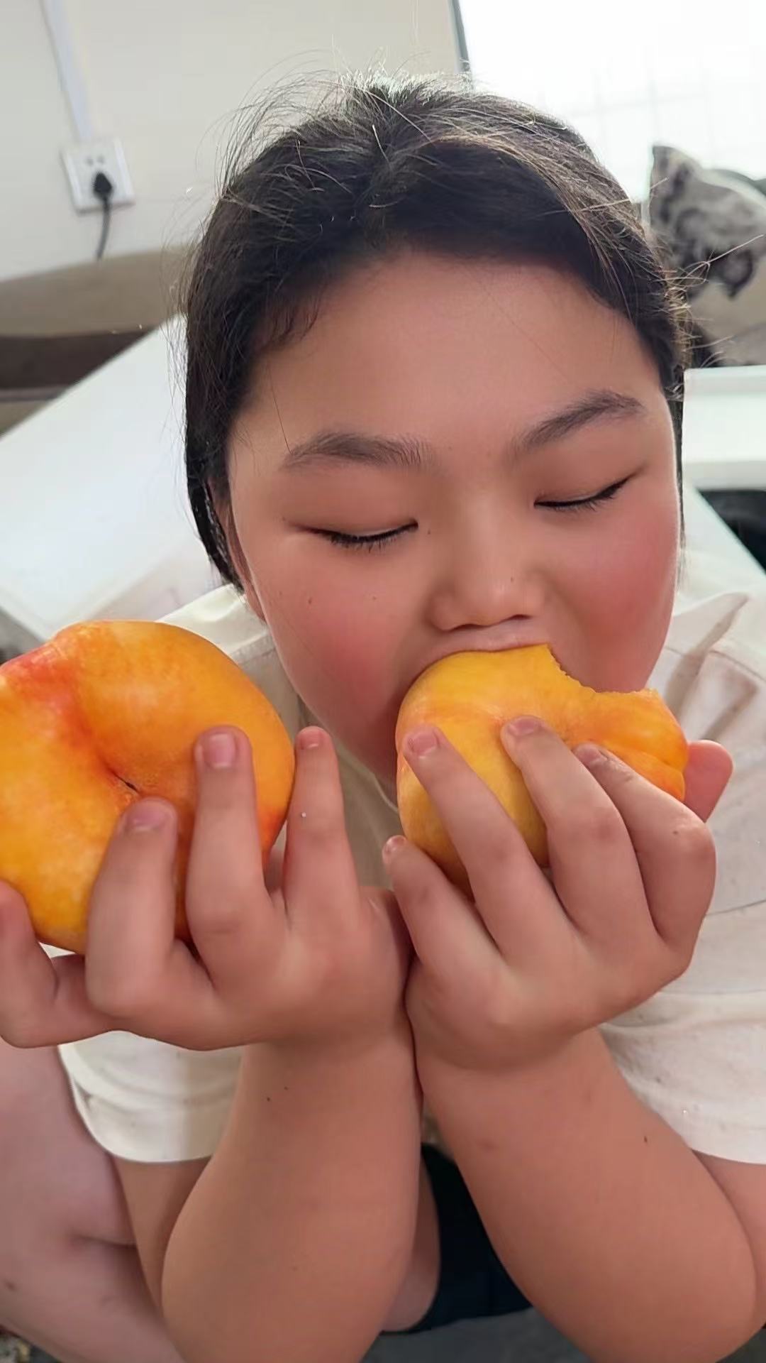 精品彩虹大蟠桃京东包邮