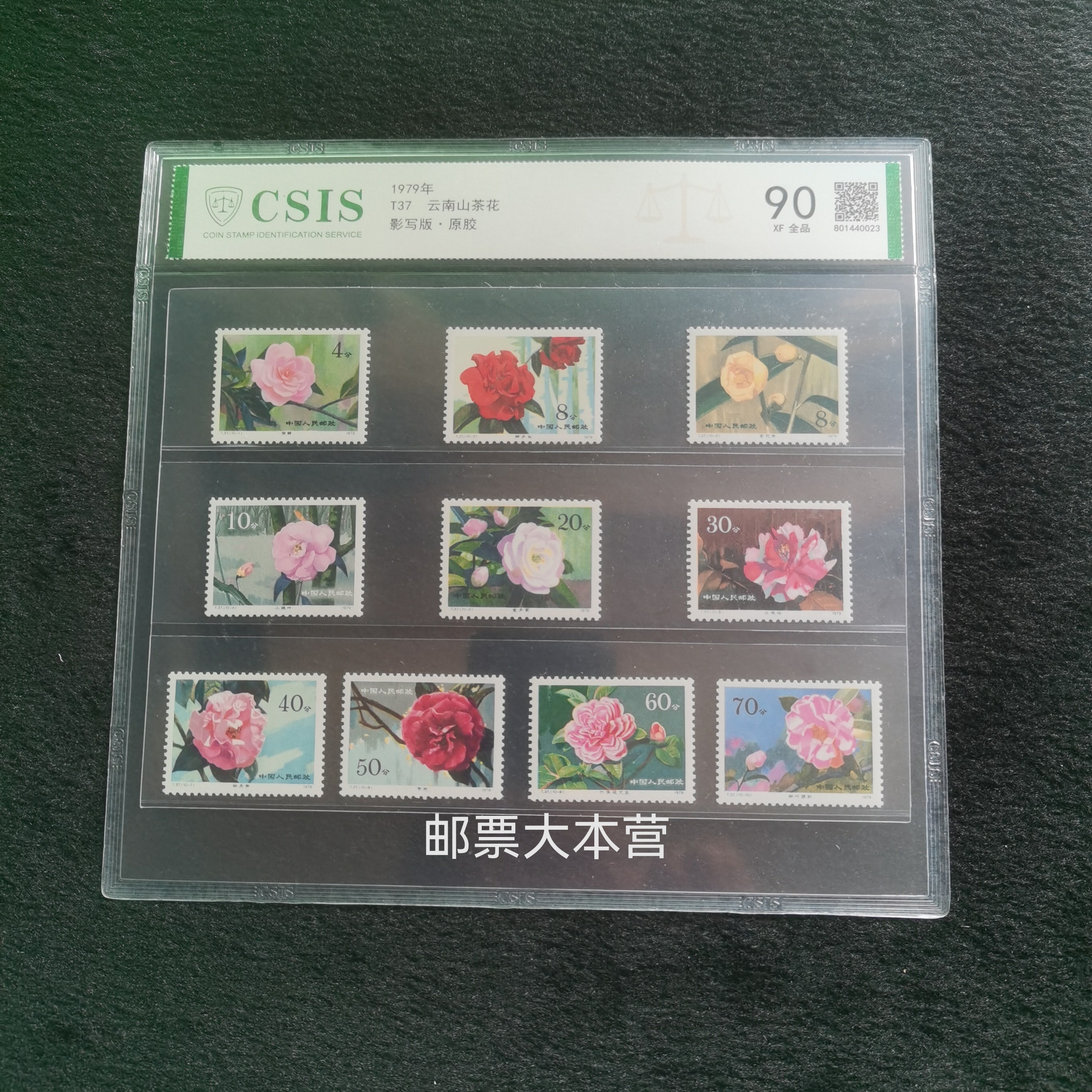 【评级】T37 云南山茶花 信泰评级90分片装
