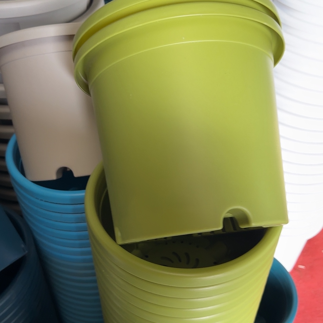 树脂四季4号带托8个果绿微瑕