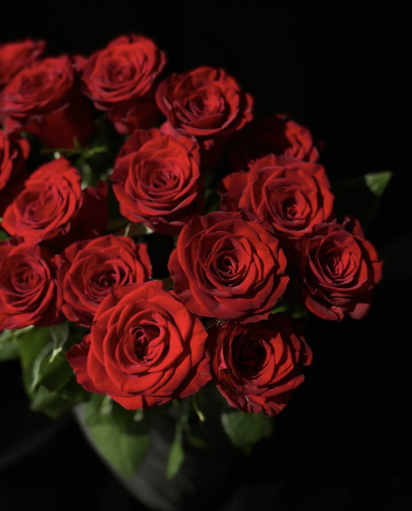 （一单包邮）高原红经典玫瑰鲜花批发云南基地直发十支十朵单头玫瑰