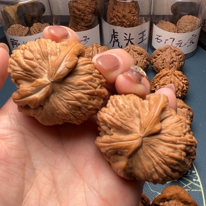 文玩核桃把件43白狮子异型