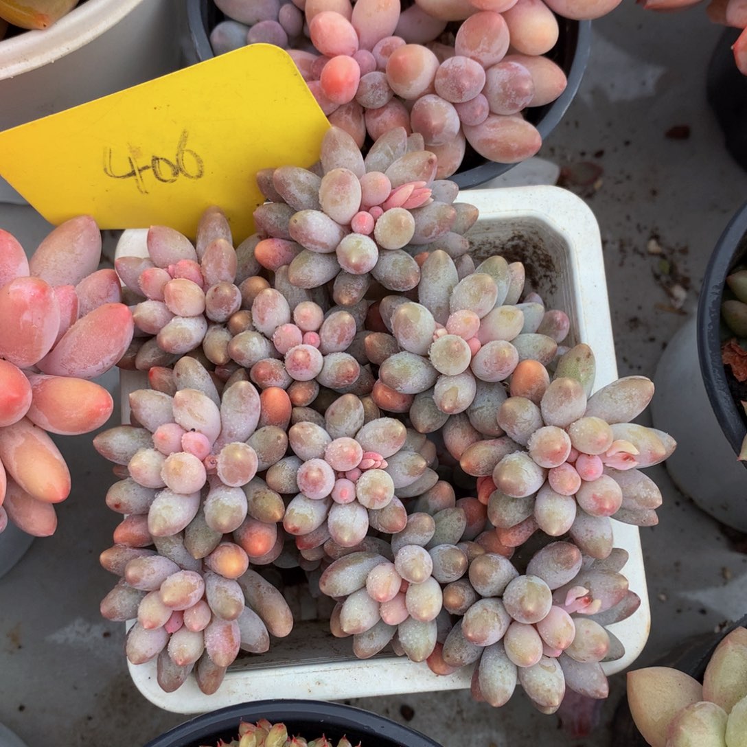 婴儿手指727277272727227