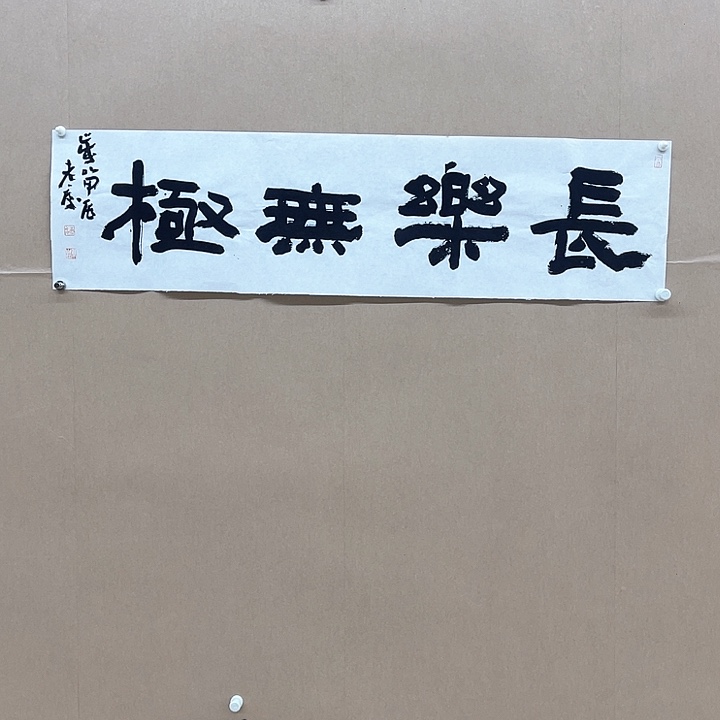 书法谢康雷117*31㎝安徽  长丰
