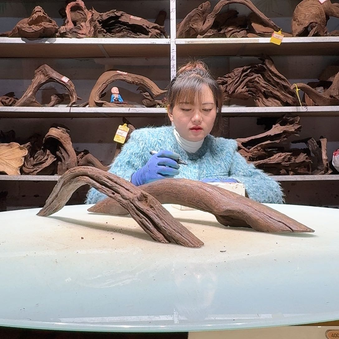 倍褚沉木不包损必褪色闪*6855-2