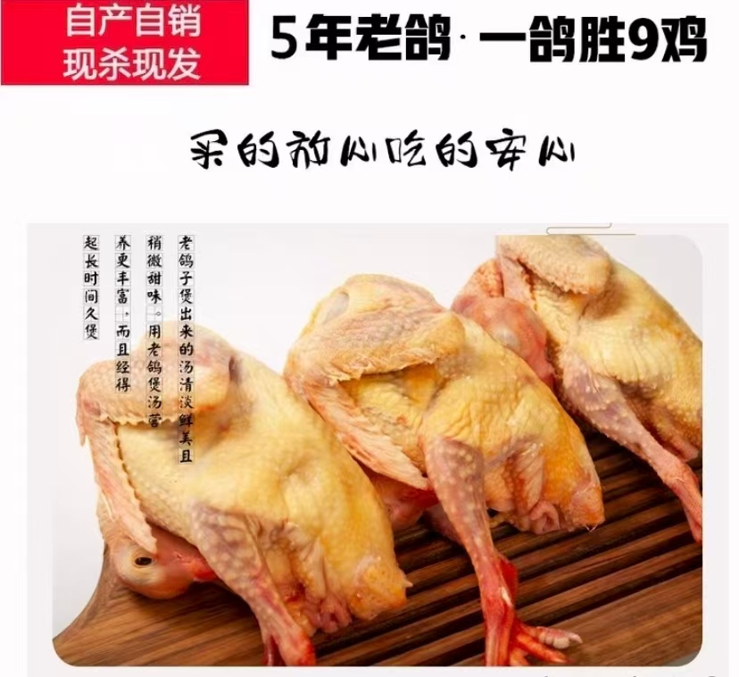 5年老鸽子买三送一 单只净重9两左右纯粮食喂养骨折孕妈妈必备