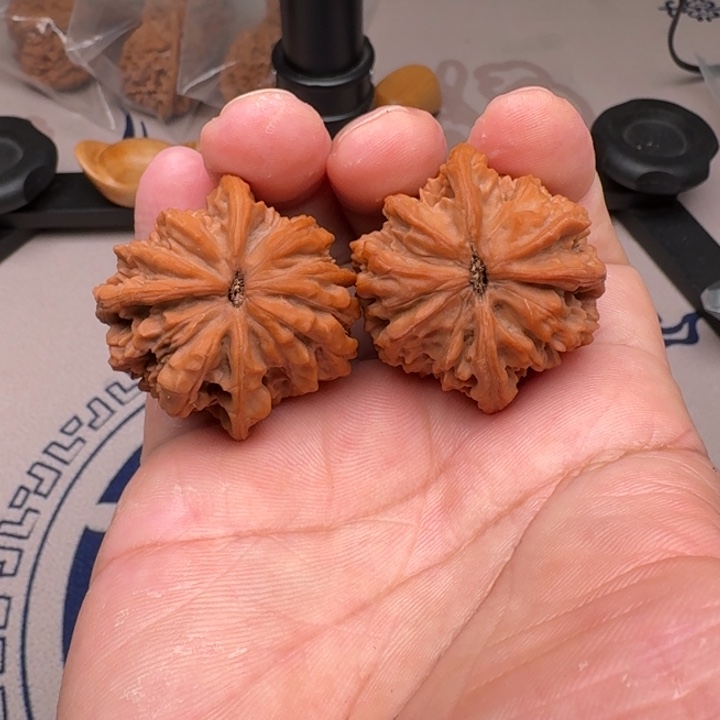 東***哥吊坠桃核野生38+尺