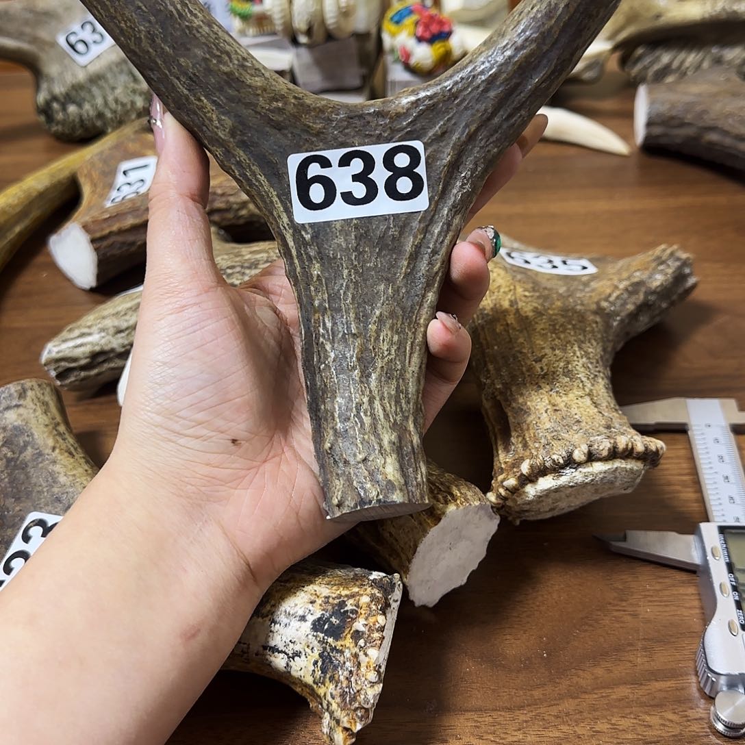 手串/手链鹿骨638弹弓