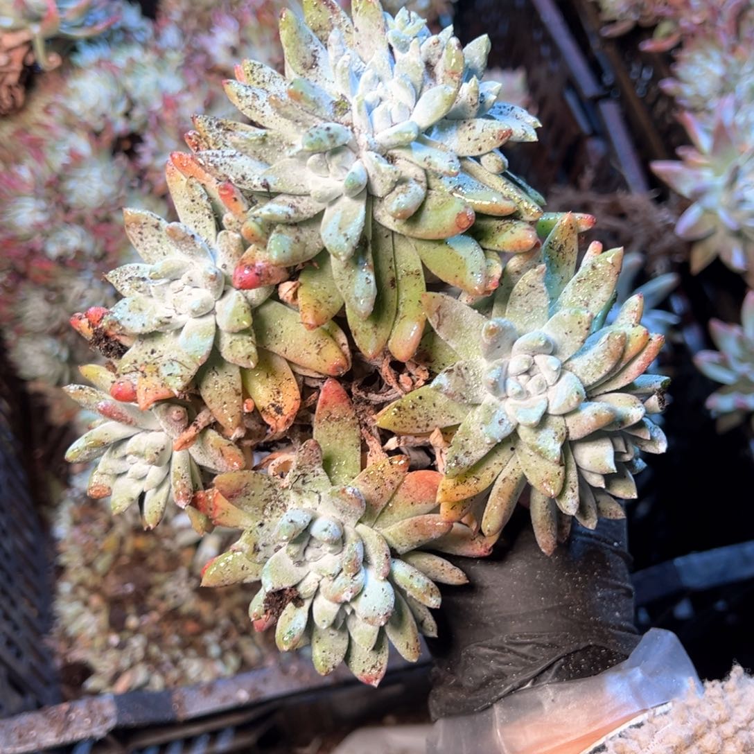 6421哈哈哈哈哈哈哈哈哈