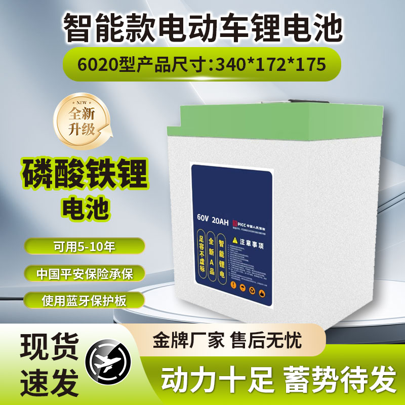 【家用两轮车专用】性价比款国轩60V20AH磷酸铁锂60V
