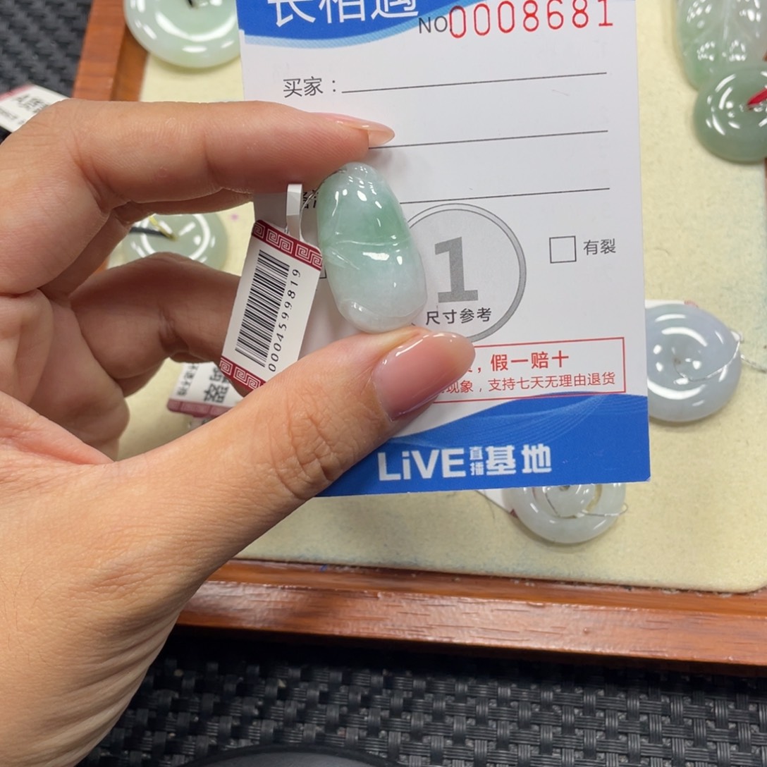 颈饰未镶嵌翡翠x8681