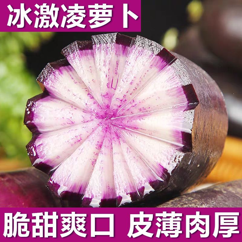 山东潍坊冰淇淋水果萝卜冰糖心甜脆多汁新鲜现发产地直发