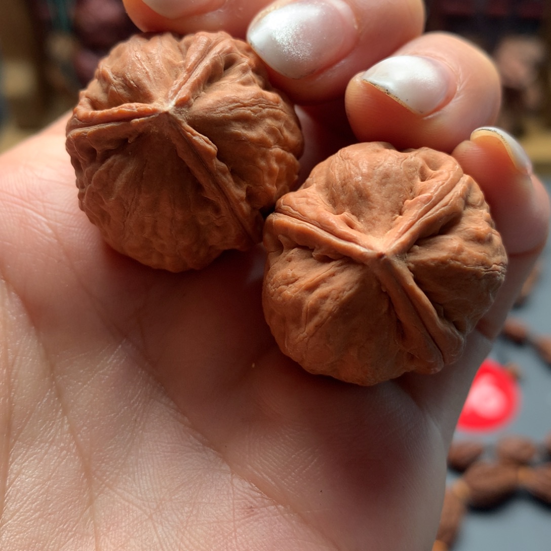 核桃11三棱异型虚尖