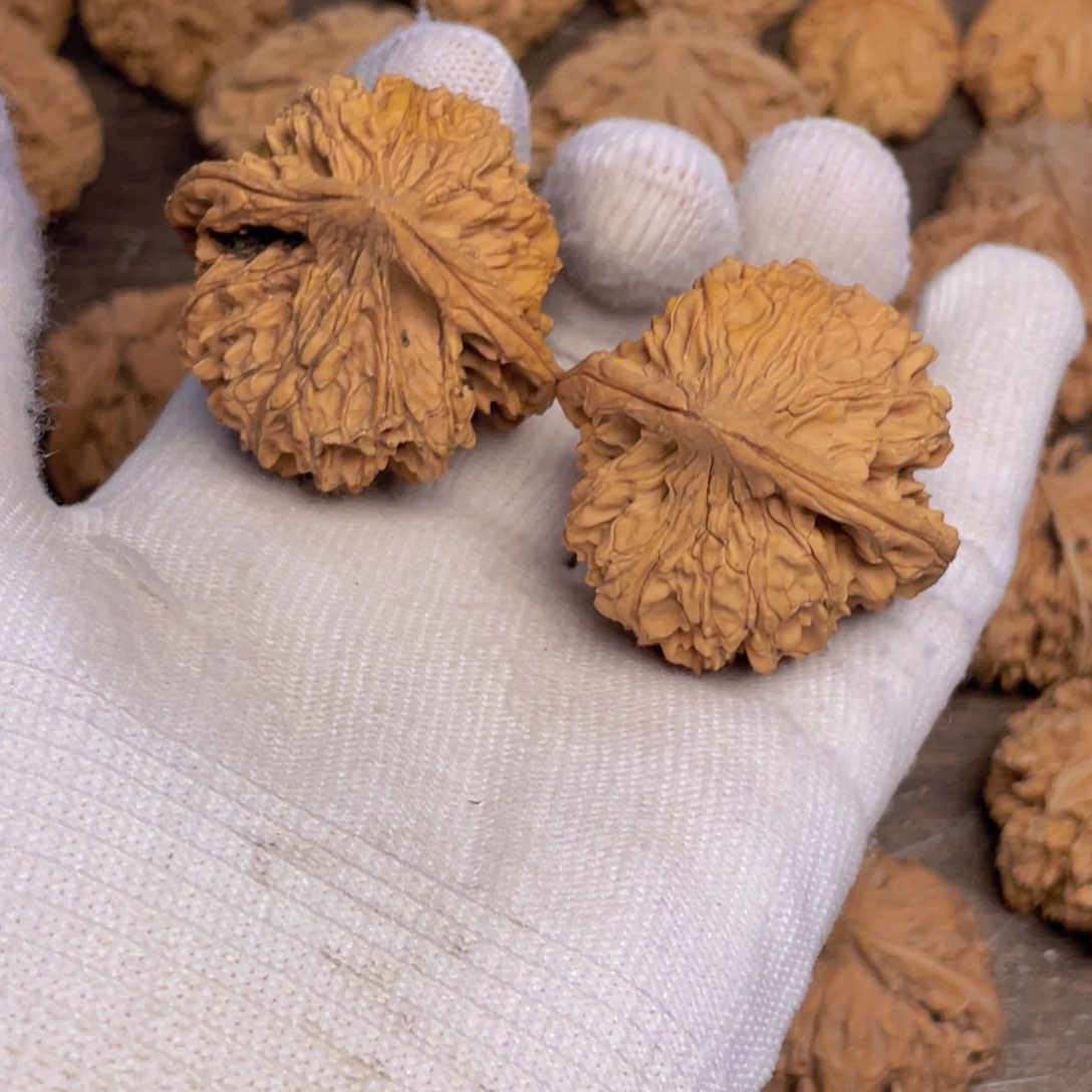 文玩核桃吊坠其**鹏3 秦岭灯笼野生小众