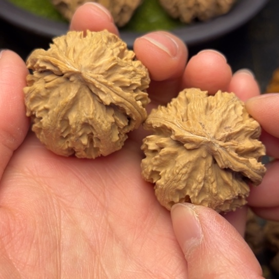 文玩核桃把件秦岭核桃2