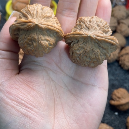 吊坠文玩核桃5靠山王