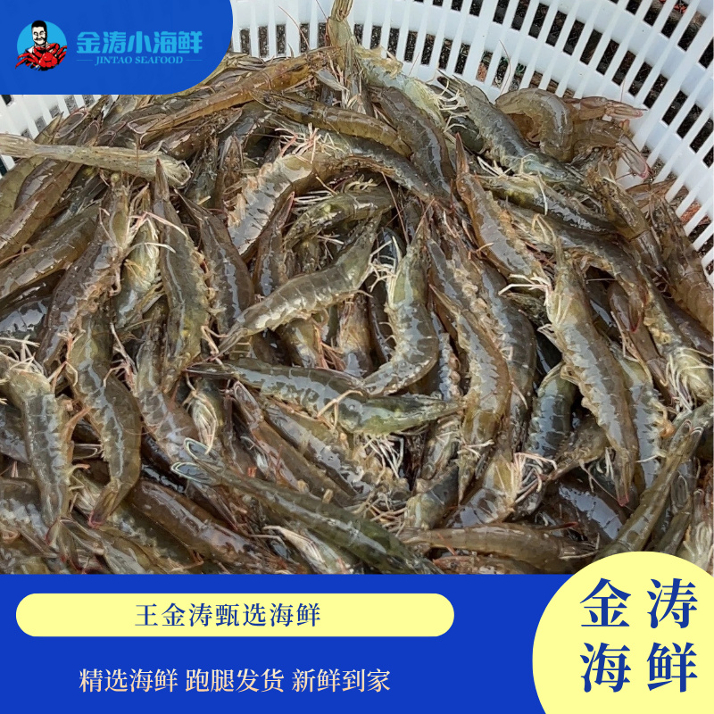 【金涛海鲜】鲜活海水明虾 1斤25 （规格22-25条）鲜活发货 直播间打包 不保活