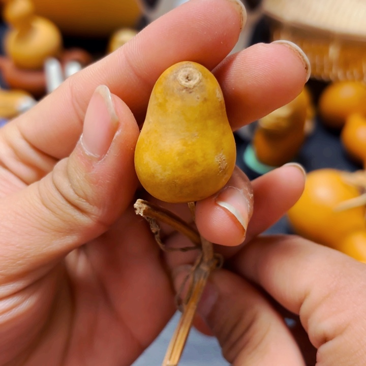 又*?8888889988888888888