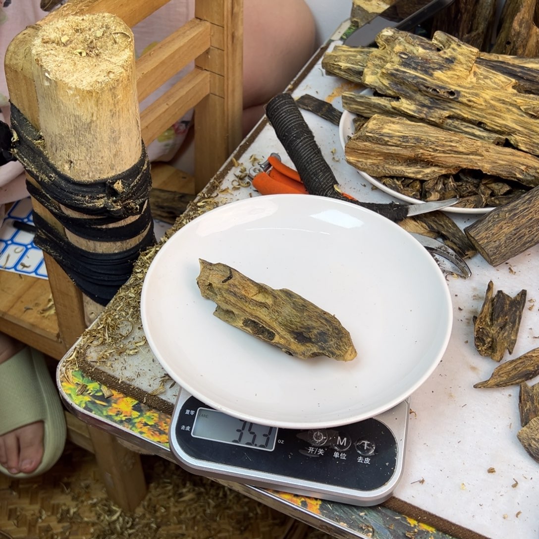 线香奇楠虫漏香35克