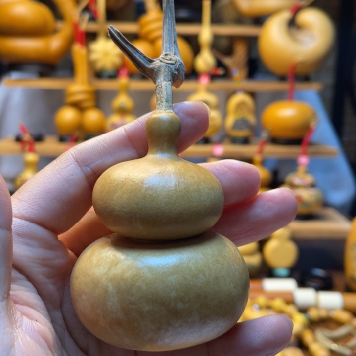 一**光天然葫芦自然生长一缕阳光