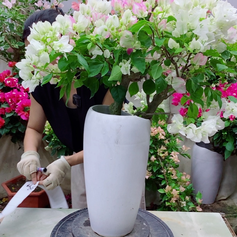 【闪购商品】完全开放