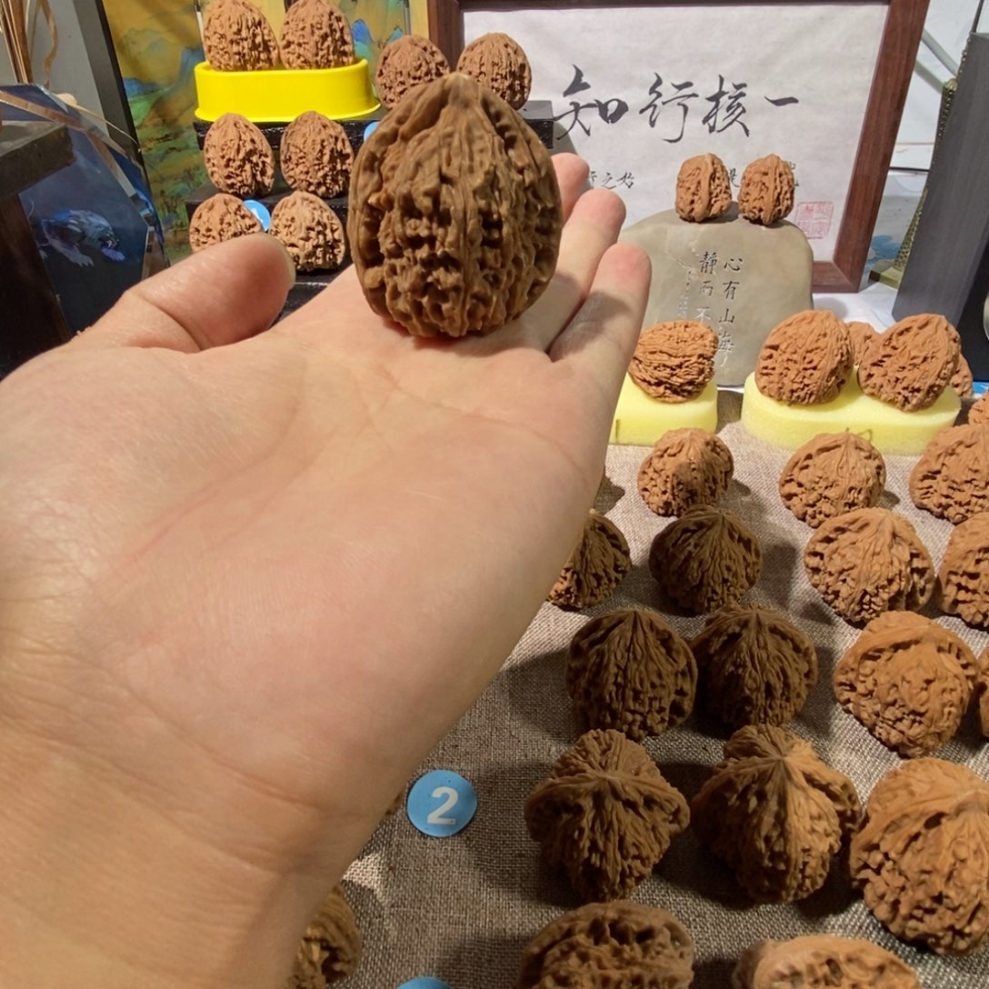 悟***6木质类奥迪亚，奥迪亚，