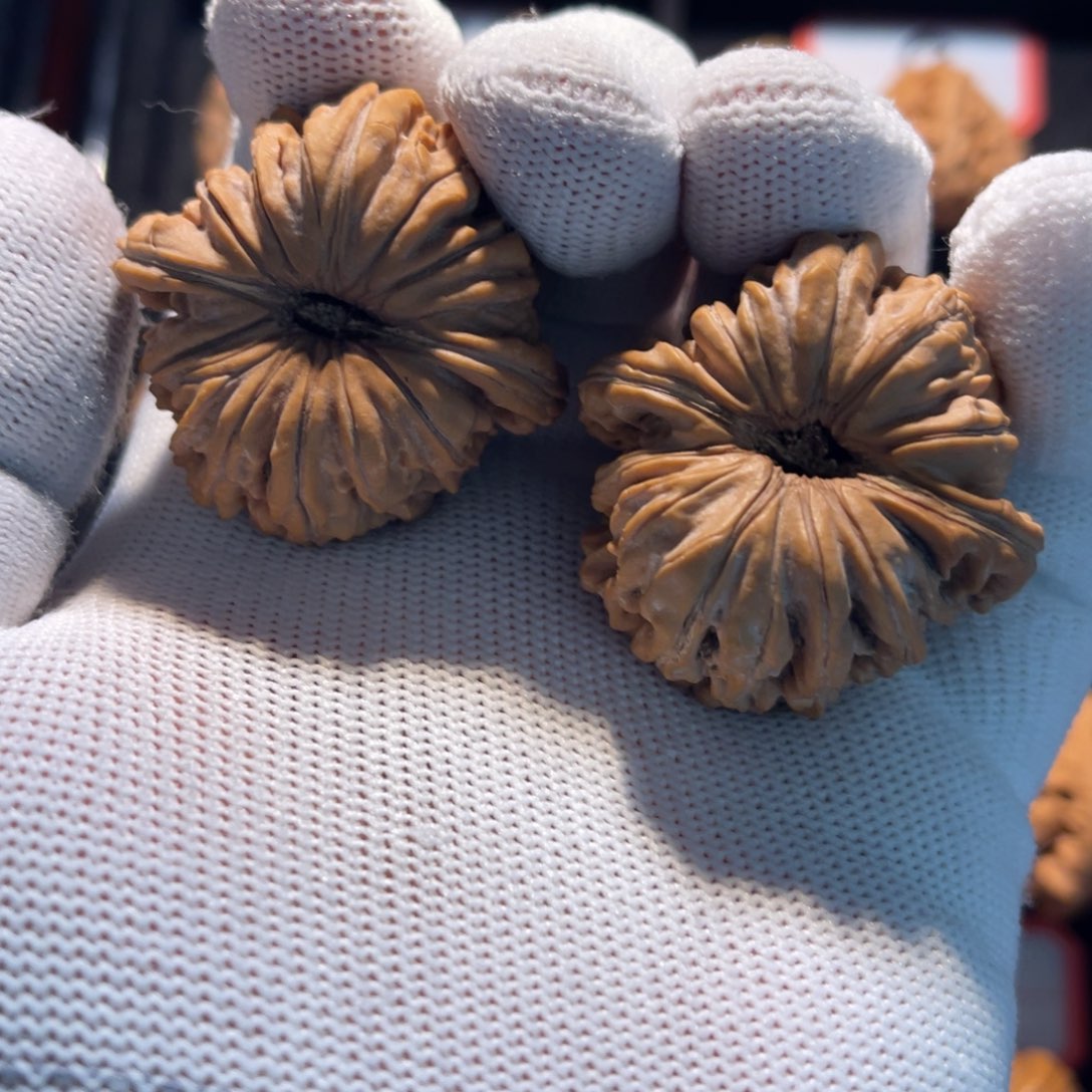 棠****店秦皇岛山地果全品—03