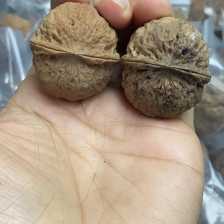 把件文玩核桃云南铁核桃基地93