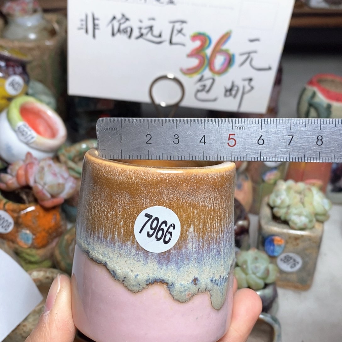 花盆拍5个送一个小礼物