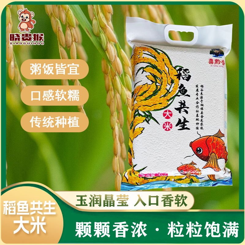 贵州稻鱼共生圆粒珍珠米香甜软新大米