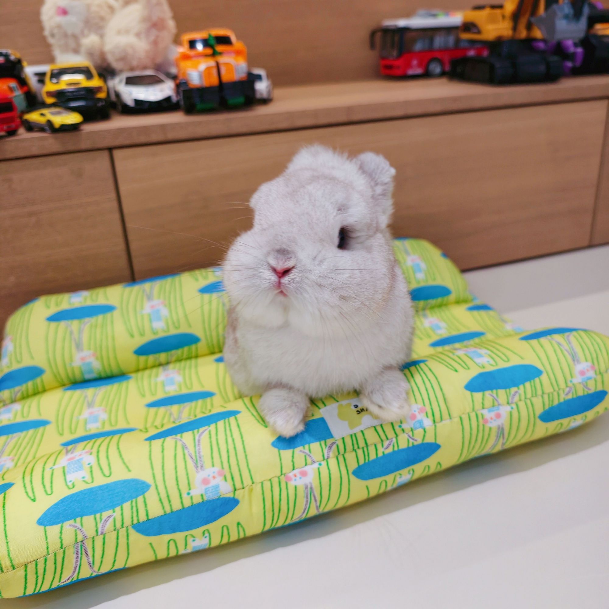 大山兔舍·兔兔趴趴垫宠物垫子小宠垫子兔子趴趴垫手工可定制